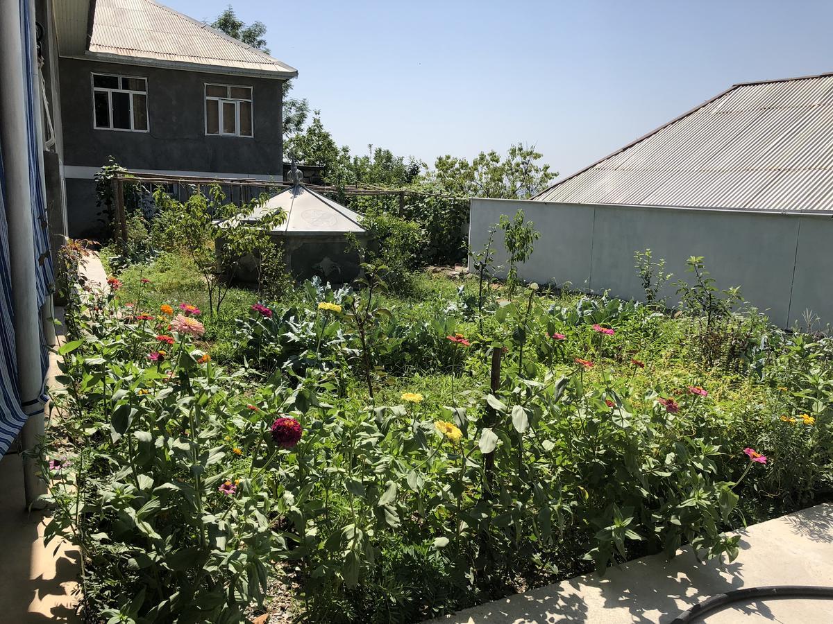 ŞǝkiShaki Host House住宿加早餐旅馆 外观 照片